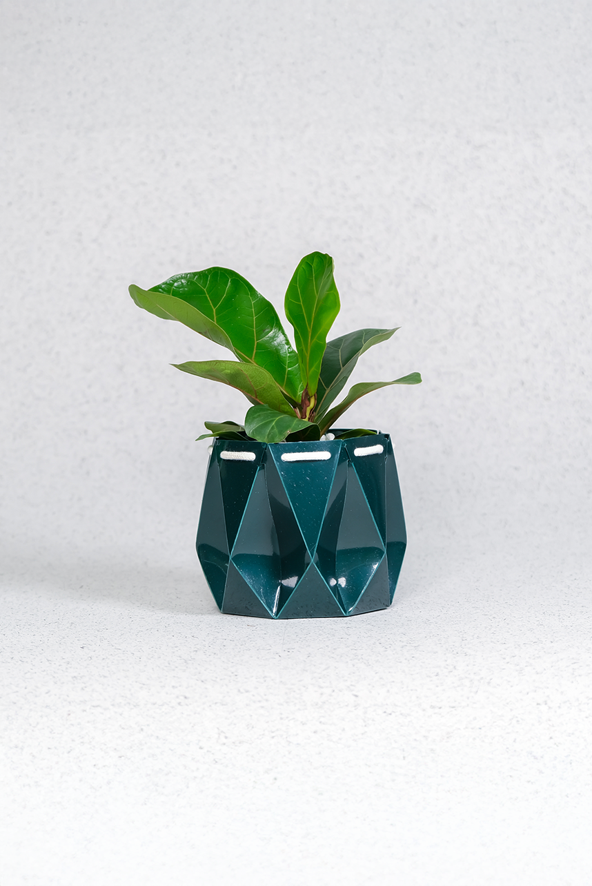 Self watering Ocean Plant Pot with green leaves, featuring origami design and self-watering function.