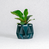 Self watering Ocean Plant Pot with green leaves, featuring origami design and self-watering function.