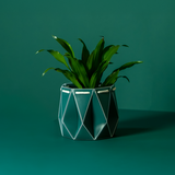 Self watering POTR Pot with green plant on teal background, showcasing modern flat-pack design.