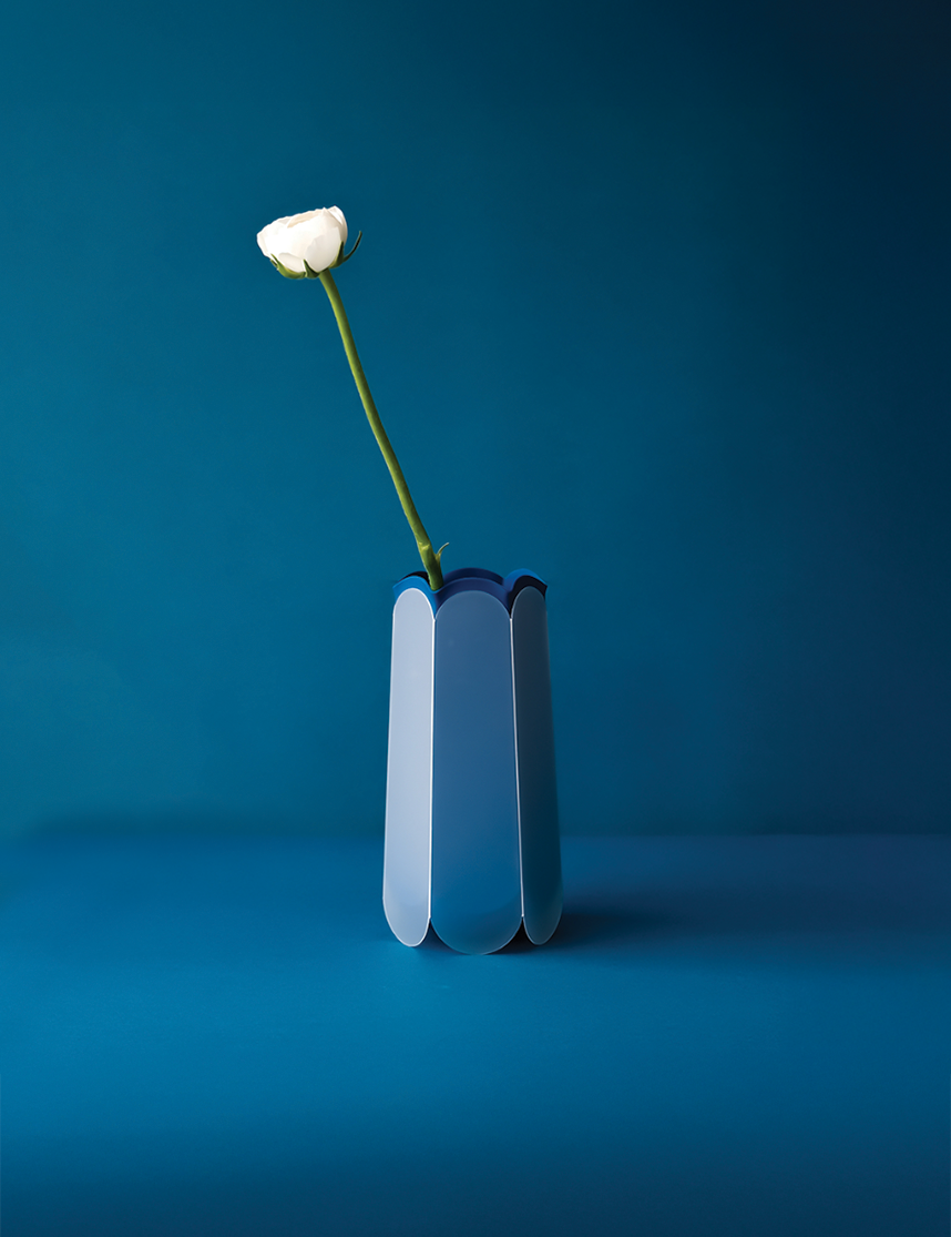 POTR Letterbox vase with a single white rose on a blue background, designed for efficient letterbox delivery.
