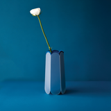 POTR Letterbox vase with a single white rose on a blue background, designed for efficient letterbox delivery.