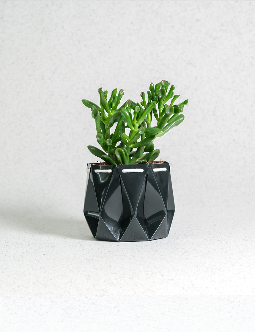 Self watering Ocean Plant Pot featuring a sleek origami design, perfect for self-watering succulents.