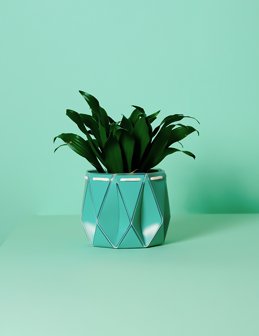 Self watering POTR Pot in turquoise with plant, ideal for self-watering gardening solutions.
