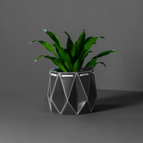 Self watering POTR Pot