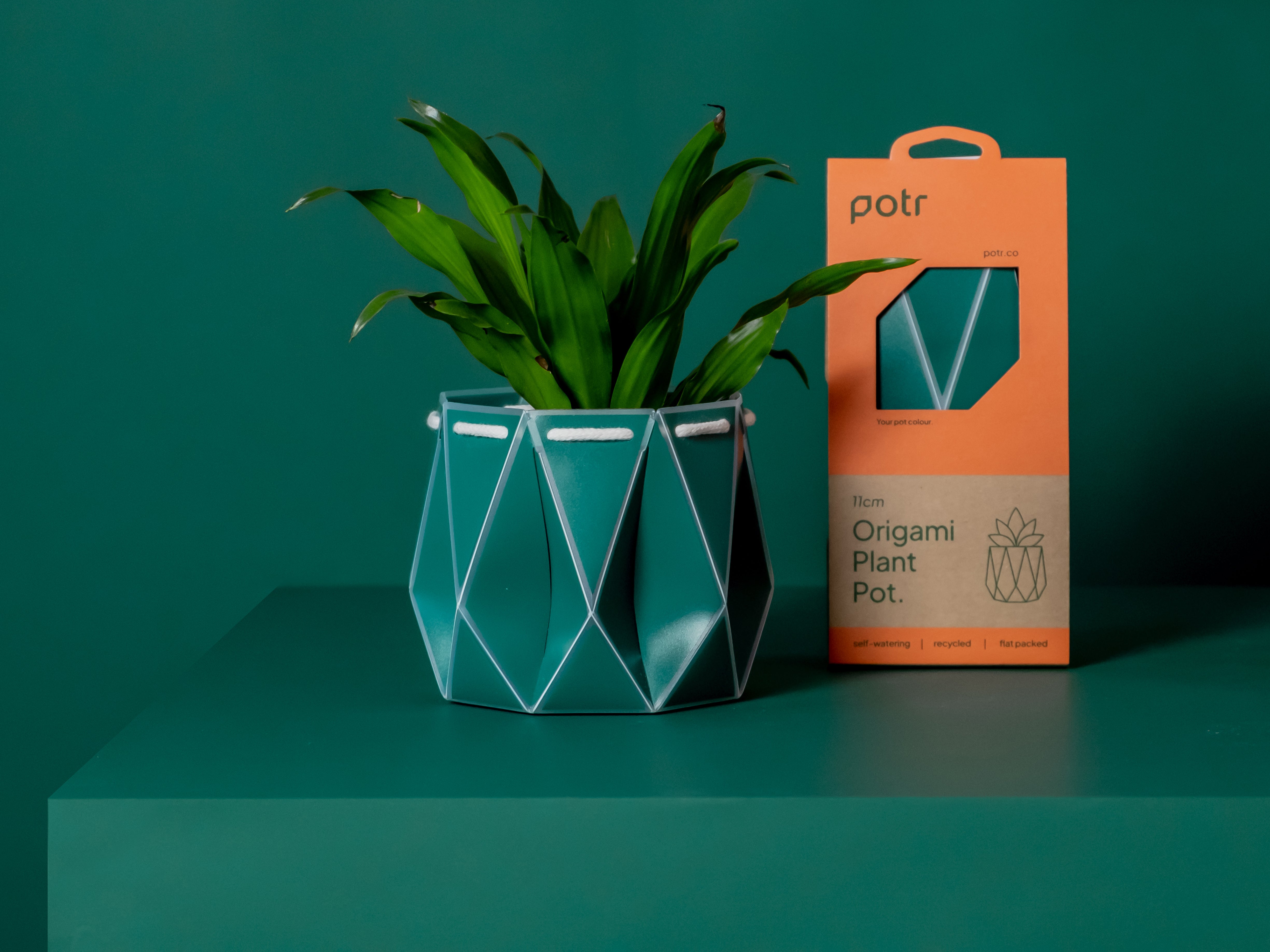 Green pot with a plant inside and its packaging on the right, placed on a green background