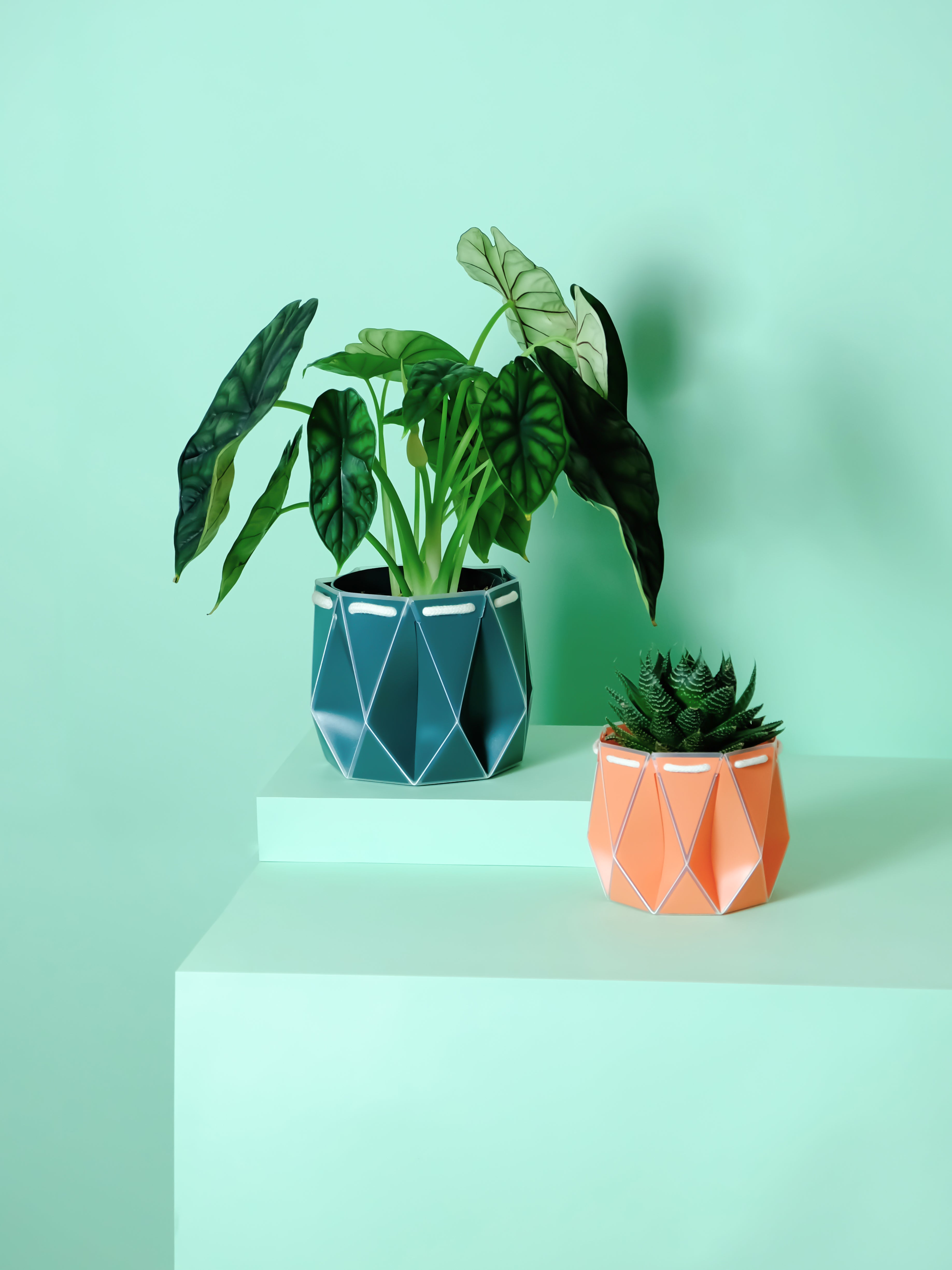 11cm + 15cm Self-watering Plant Pot Gift Duo displayed with plants on a mint green background.