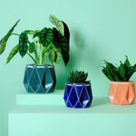 Self-watering Plant Pot Family Gifting Bundle featuring origami-inspired design and vibrant colors.