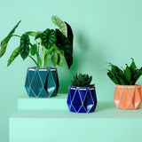 Self-watering Plant Pot Family Gifting Bundle featuring origami-inspired design and vibrant colors.