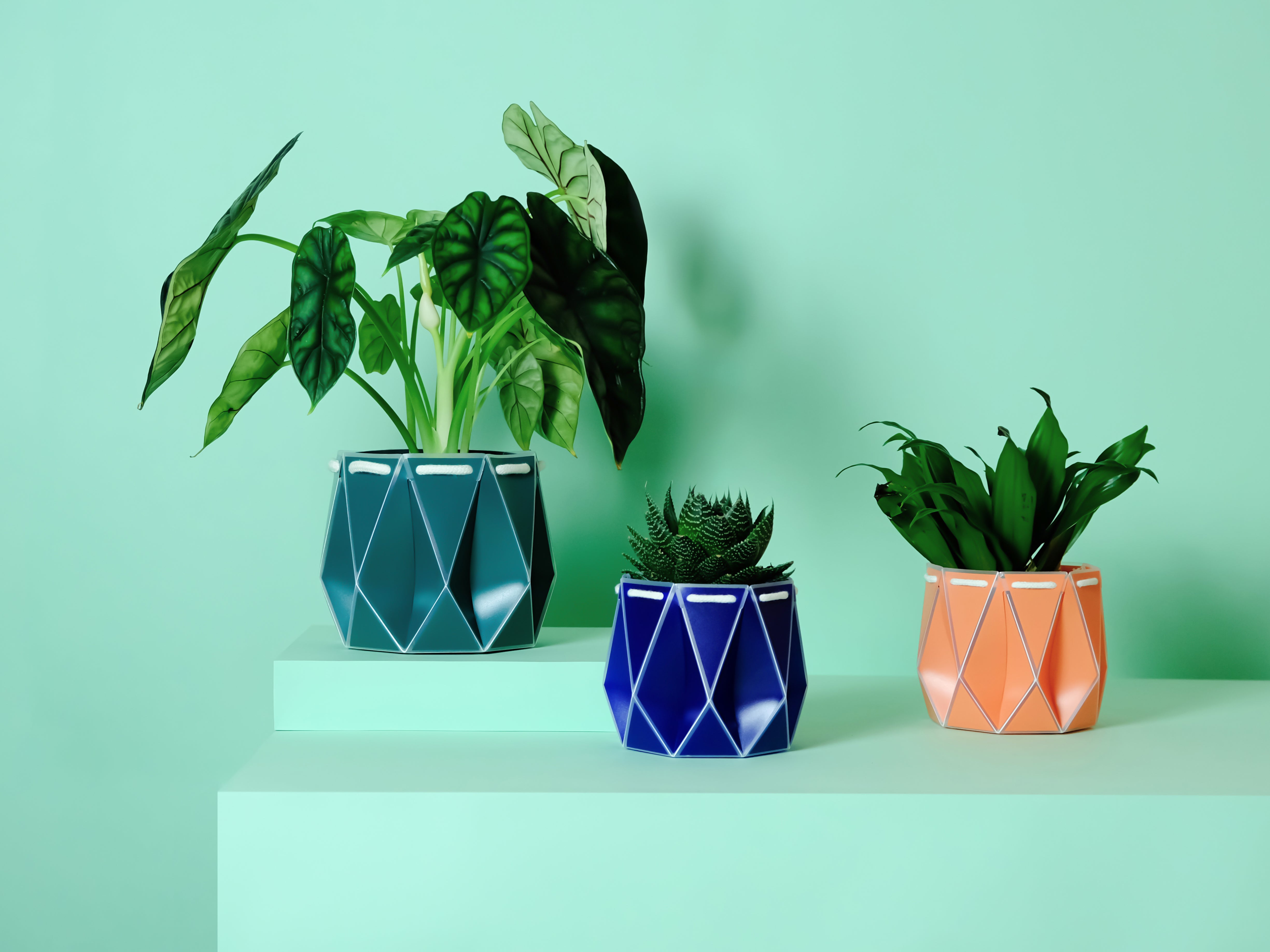 Self-watering Plant Pot Family Gifting Bundle featuring origami-inspired design and vibrant colors.
