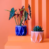 15cm + 18cm Self-watering plant pot gift duo in origami inspired design with colorful plants.